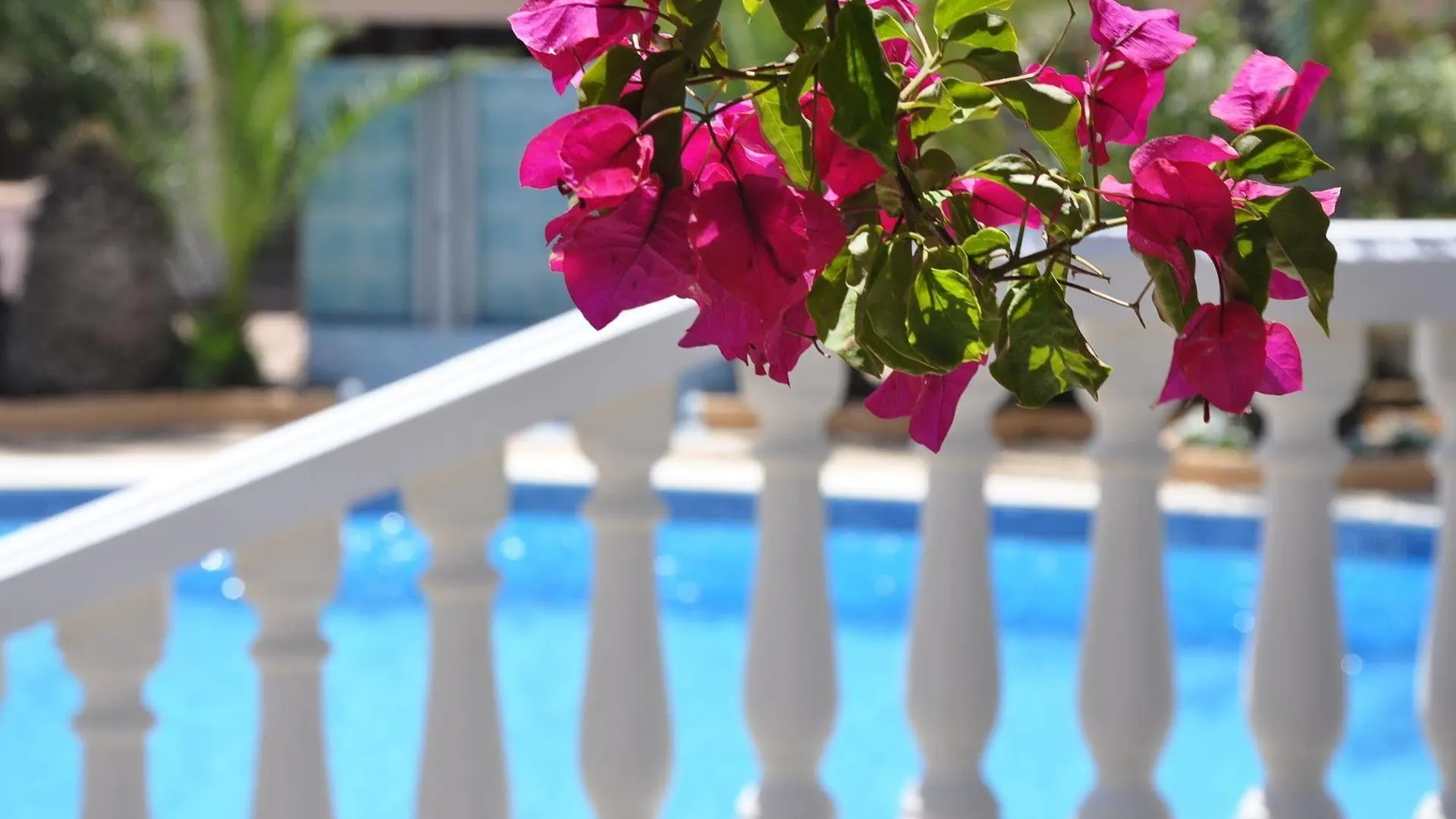 Hotel Neptuno Ibiza